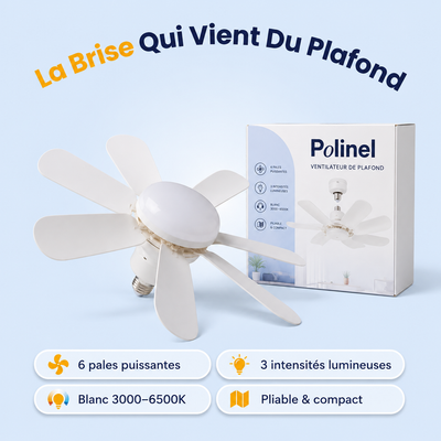 Ventilateur de Plafond | Profitez d'un intérieur plus frais pendant les fortes chaleurs